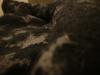 <img100*0:stuff/z/169023/cloth%252083/i1259862449_34.jpg>