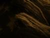 <img100*0:stuff/z/169023/cloth%252083/i1259862449_35.jpg>