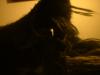 <img100*0:stuff/z/169023/cloth%252083/i1259862449_36.jpg>