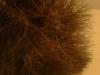 <img100*0:stuff/z/169023/cloth42/i1259884865_11.jpg>