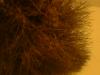 <img100*0:stuff/z/169023/cloth42/i1259884865_17.jpg>