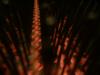 <img100*0:stuff/z/169023/cloth42/i1259884865_20.jpg>