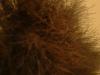 <img100*0:stuff/z/169023/cloth42/i1259884865_23.jpg>