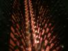 <img100*0:stuff/z/169023/cloth42/i1259884865_26.jpg>