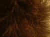 <img100*0:stuff/z/169023/cloth42/i1259884865_28.jpg>