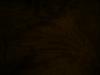 <img100*0:stuff/z/169023/cloth42/i1259884865_31.jpg>