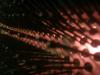 <img100*0:stuff/z/169023/cloth42/i1259884865_32.jpg>