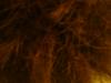 <img100*0:stuff/z/169023/cloth42/i1259884865_40.jpg>