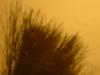 <img100*0:stuff/z/169023/cloth42/i1259884865_5.jpg>