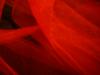 <img100*0:stuff/z/169023/cloth42/i1259884865_7.jpg>