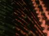 <img100*0:stuff/z/169023/cloth42/i1259884865_9.jpg>