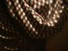 <img100*0:stuff/z/169023/clothhd/i1263583957_16.jpg>