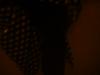 <img100*0:stuff/z/169023/clothhd/i1263583957_25.jpg>