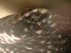 <img100*0:stuff/z/169023/clothhd/i1263583958_29.jpg>