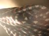 <img100*0:stuff/z/169023/clothhd/i1263583958_35.jpg>