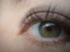<img100*0:stuff/z/169023/eyes%252026/i1259706775_12.jpg>