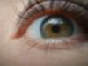 <img100*0:stuff/z/169023/eyes%252026/i1259706775_16.jpg>