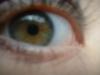 <img100*0:stuff/z/169023/eyes%252026/i1259706776_20.jpg>