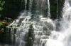<img100*0:stuff/z/169023/f%25601/i1279825586_11.jpg>