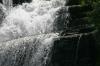<img100*0:stuff/z/169023/f2/i1279825617_27.jpg>