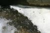 <img100*0:stuff/z/169023/falls./i1279904928_18.jpg>