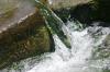 <img100*0:stuff/z/169023/falls./i1279904928_23.jpg>