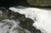 <img100*0:stuff/z/169023/falls./i1279904928_24.jpg>