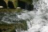 <img100*0:stuff/z/169023/falls./i1279904928_26.jpg>