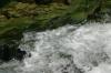 <img100*0:stuff/z/169023/falls./i1279904928_27.jpg>