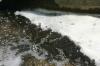 <img100*0:stuff/z/169023/falls./i1279904929_30.jpg>