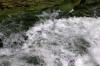 <img100*0:stuff/z/169023/falls./i1279904929_32.jpg>