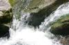 <img100*0:stuff/z/169023/falls./i1279904929_37.jpg>