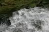 <img100*0:stuff/z/169023/falls./i1279904929_38.jpg>