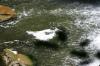 <img100*0:stuff/z/169023/falls3/i1279826654_2.jpg>