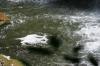 <img100*0:stuff/z/169023/falls3/i1279826654_3.jpg>