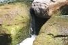 <img100*0:stuff/z/169023/falls3/i1279826655_16.jpg>