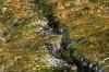 <img100*0:stuff/z/169023/falls3/i1279826656_30.jpg>