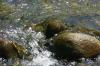 <img100*0:stuff/z/169023/falls4/i1279826889_5.jpg>