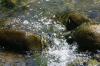 <img100*0:stuff/z/169023/falls4/i1279826890_16.jpg>