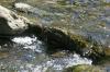 <img100*0:stuff/z/169023/falls4/i1279826890_17.jpg>