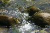<img100*0:stuff/z/169023/falls4/i1279826890_22.jpg>