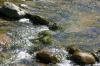 <img100*0:stuff/z/169023/falls4/i1279826890_24.jpg>