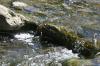 <img100*0:stuff/z/169023/falls4/i1279826890_29.jpg>