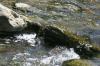 <img100*0:stuff/z/169023/falls4/i1279826890_35.jpg>