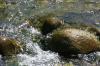 <img100*0:stuff/z/169023/falls4/i1279826891_39.jpg>