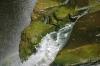 <img100*0:stuff/z/169023/falls5/i1279840232_7.jpg>