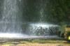 <img100*0:stuff/z/169023/falls5/i1279840233_17.jpg>