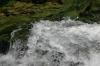 <img100*0:stuff/z/169023/falls5/i1279840234_24.jpg>
