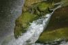 <img100*0:stuff/z/169023/falls5/i1279840234_36.jpg>