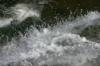 <img100*0:stuff/z/169023/falls5/i1279840234_37.jpg>